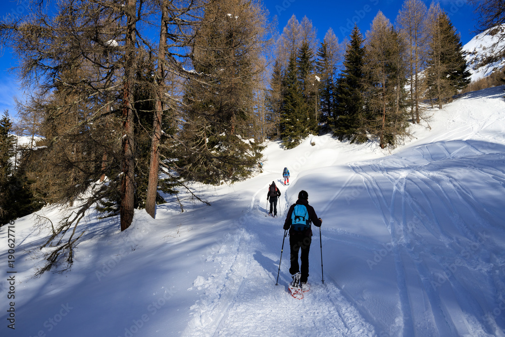 alpinisti in salita con le ciaspole verso il pizzo Foisc, nelle alpi Lepontine (Svizzera) alpinisti in salita con le ciaspole verso il pizzo Foisc, nelle alpi Lepontine (Svizzera)