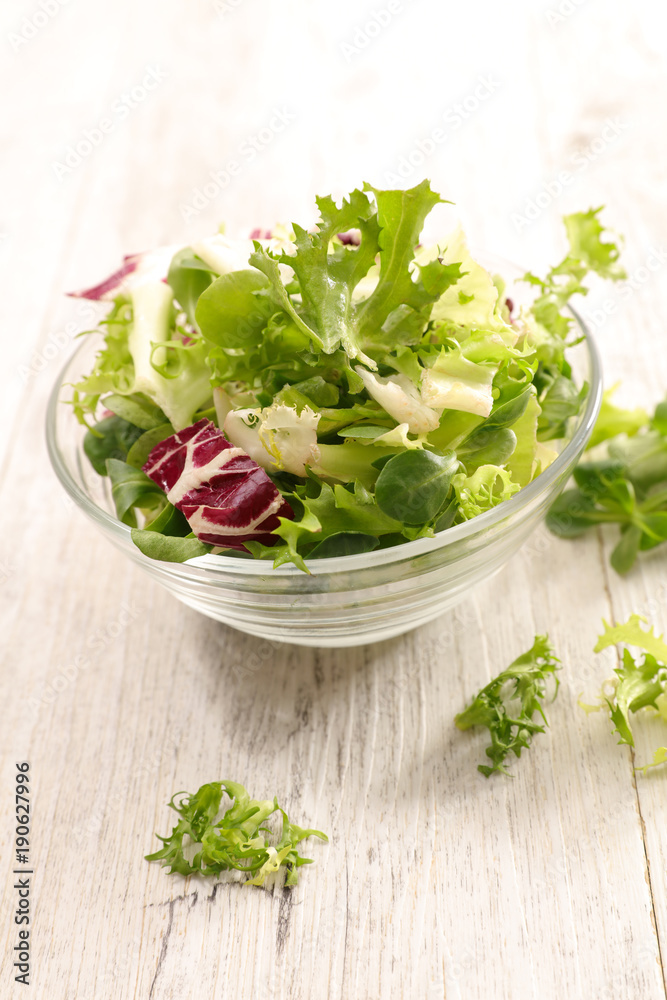 bowl of green lettuce bowl of green lettuce