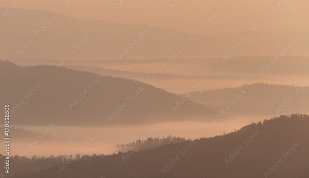 Obraz premium Foggy View