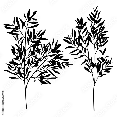 branches leaves olive silhouette set
