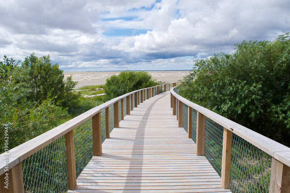 Boardwalk through the coastal meadows and wetlands of Parnu, Estonia