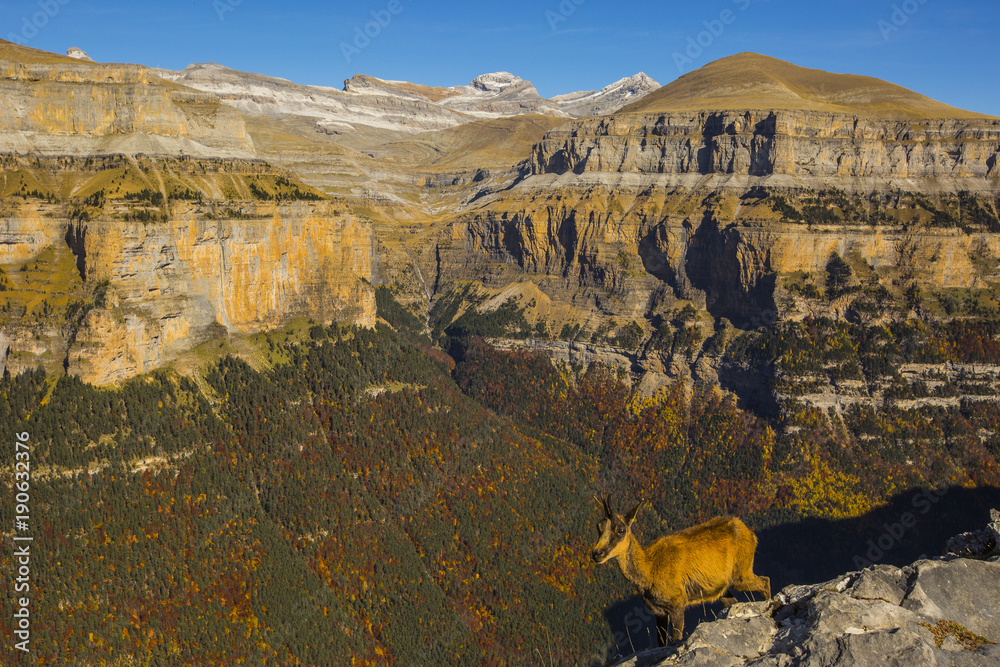 Naklejka premium Otoño en los Pirineos