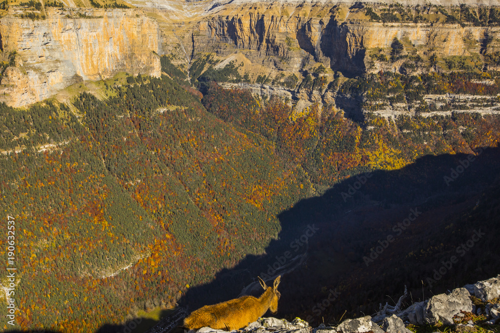 Obraz premium Otoño en los Pirineos