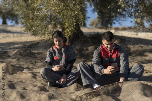  OLive oil workers having a break after work on a mantle with phones