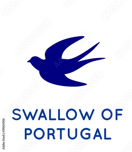 Swallow icon vector