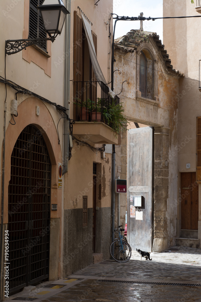 Alley with entrance to a convent and cat watching. Palma Majorca