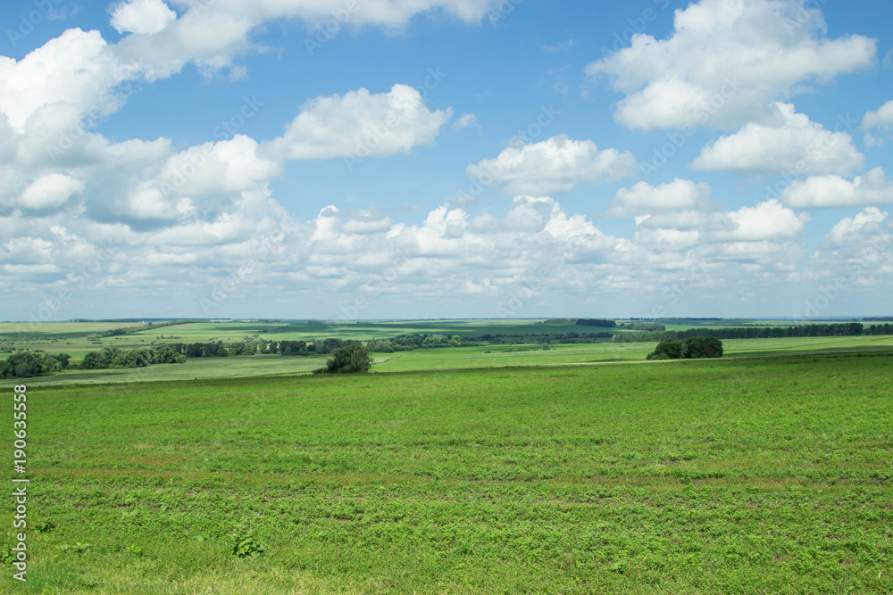 The beauty of Russian fields. Picturesque summer view.