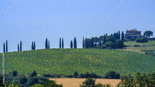 Landscape in Umbria near Todi photo