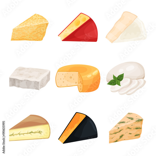 Set of various cheese, dairy products cartoon vector Illustrations