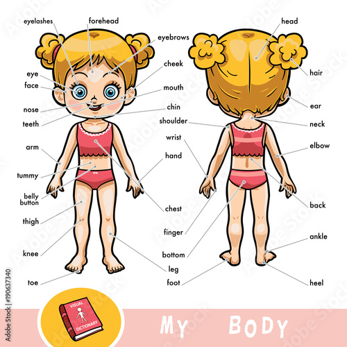 Visual dictionary for children about the human body. My body parts for a girl.