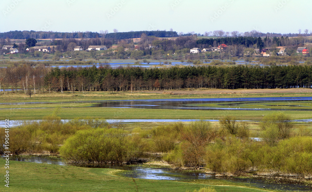 Panoramic view of wetlands and meadows with trees by the Narew river in Poland