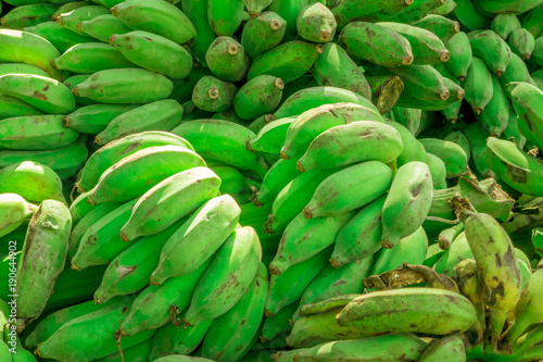 The group or background of fresh raw banana after cultivated in the natural light.