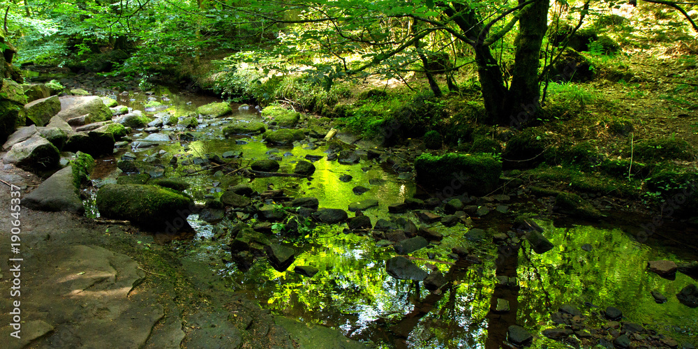 Obraz premium Monbachtal