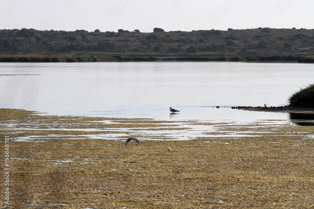 riserva naturale di vendicari, siracusa, sud della sicilia