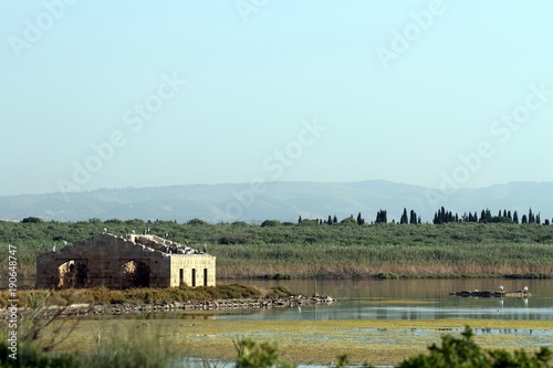 riserva naturale di vendicari, siracusa, sud della sicilia photo