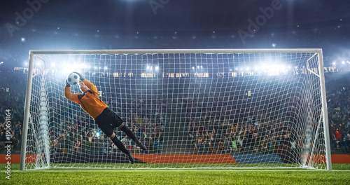 Soccer goalkeeper in action on the stadium