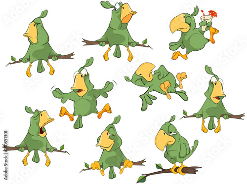 Set of Cute Green Parrots for you Design