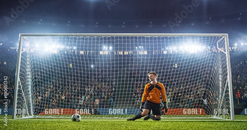 Soccer goalkeeper in action on the stadium