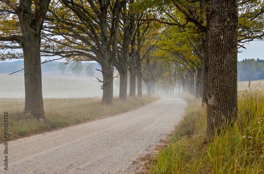 Perspective country winding dusty dirt road at Summer day with green trees at side. Vintage grainy film effect. Perspective country winding dusty dirt road at Summer day with green trees at side. Vintage grainy film effect.