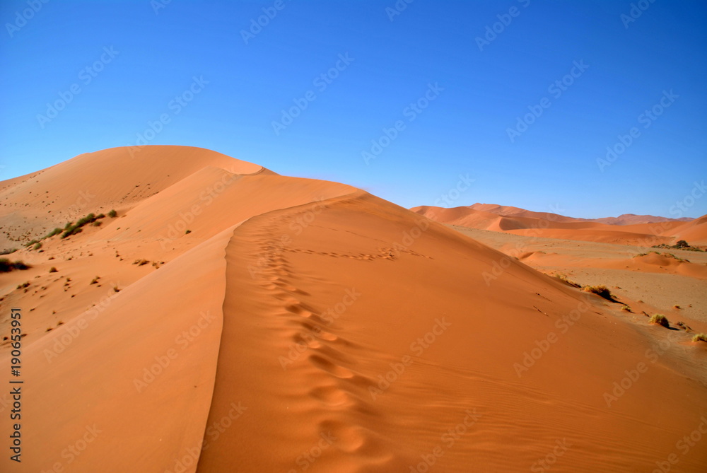 Namibian dune