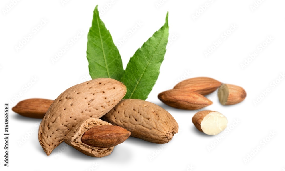 Almond. Almond.
