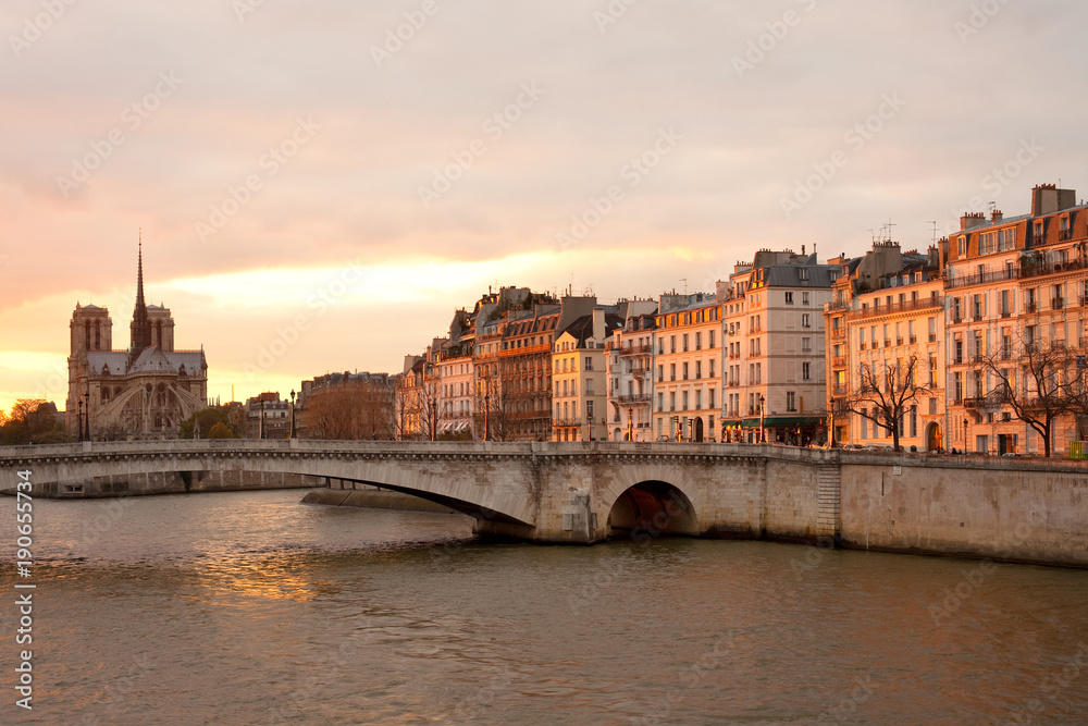 Fototapeta premium Apartamenty na wyspie Saint Louis, katedrze Notre Dame na Cite Island i Tournelle Bridge nad Sekwaną, Paryż, Francja