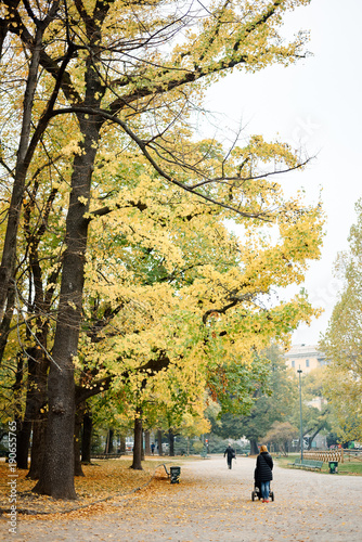 Young beautiful mother walks in autumn summer in the park with her baby in a stroller