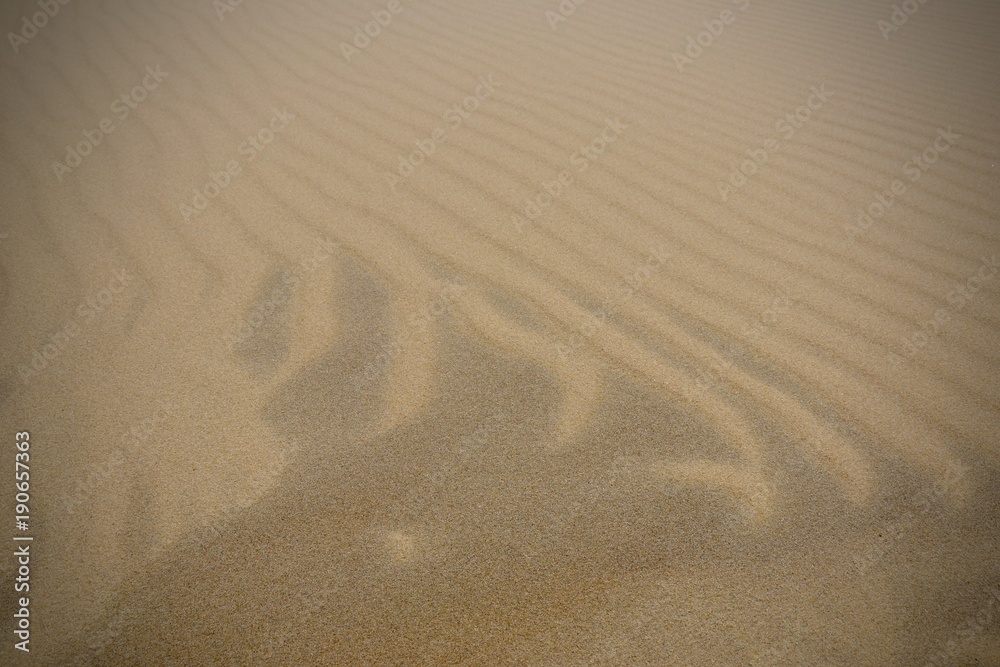 Obraz premium dune du pyla