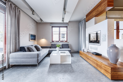 Grey modern living room © Photographee.eu