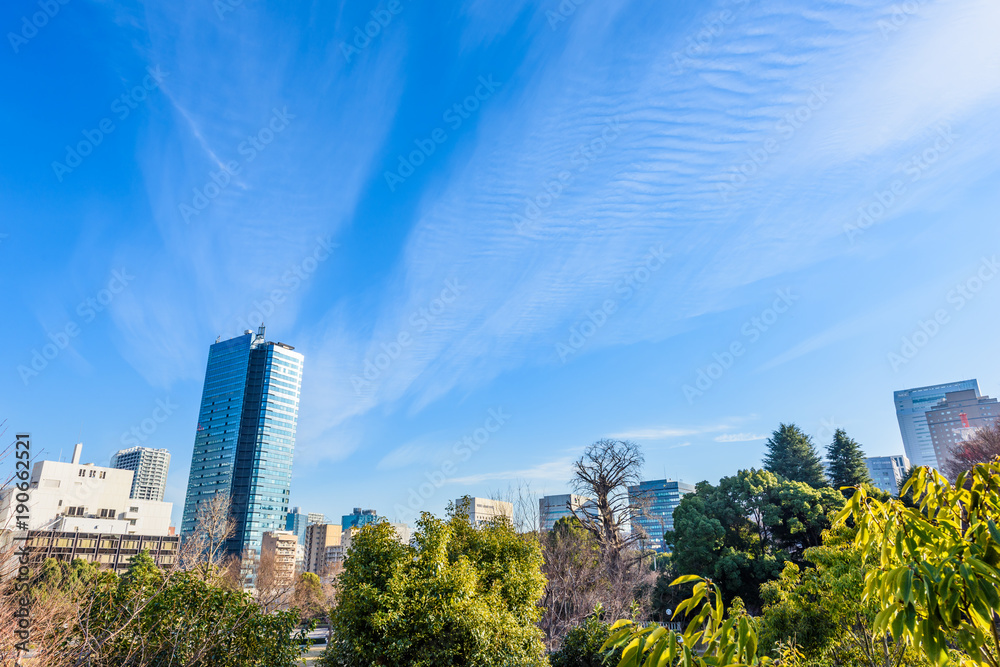 Fototapeta premium 都市風景