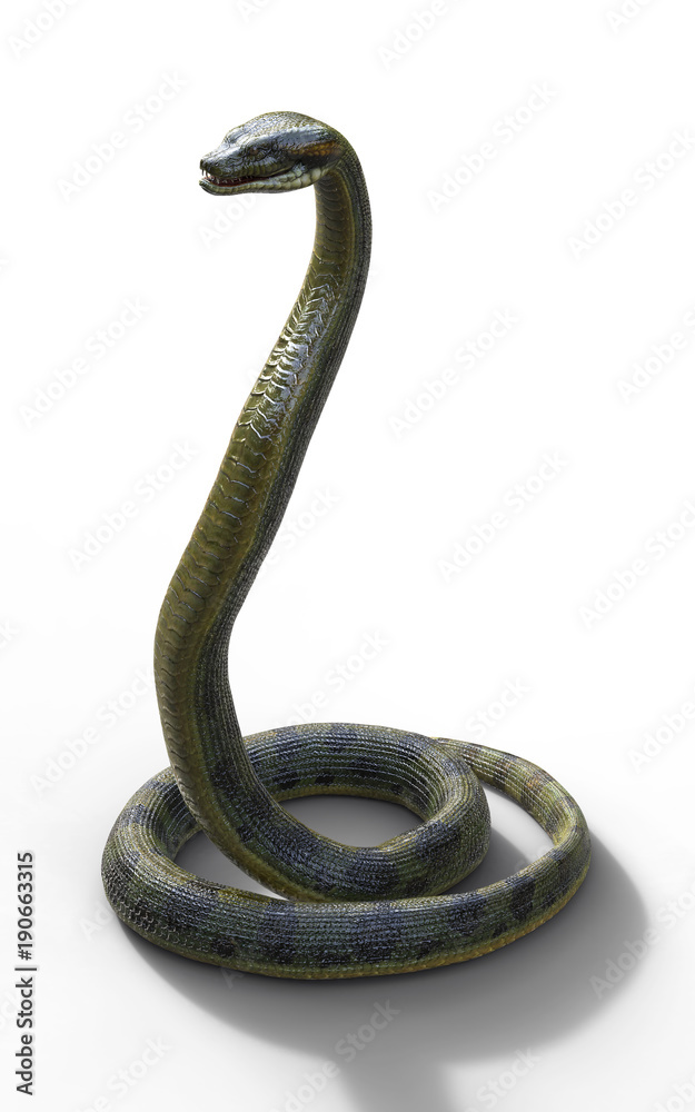 Anaconda 3d hi-res stock photography and images - Alamy