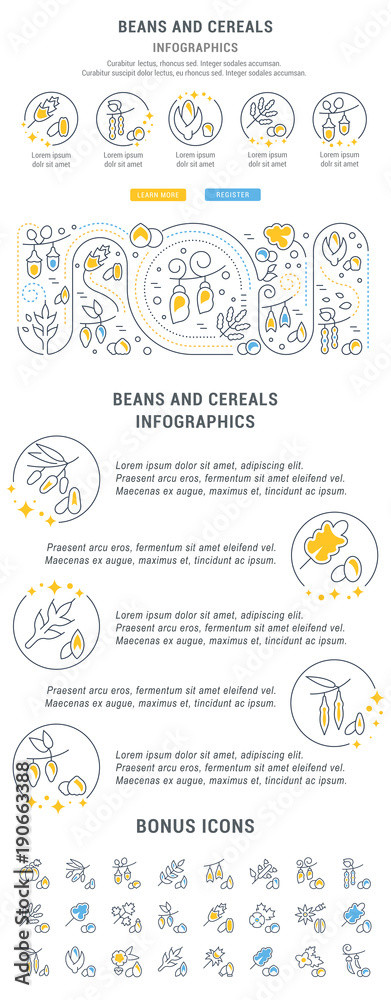 Website Banner and Landing Page of Cereals and Beans.