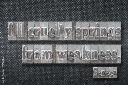 cruelty springs Seneca