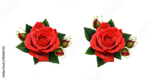 Set of red rose flowers arr...