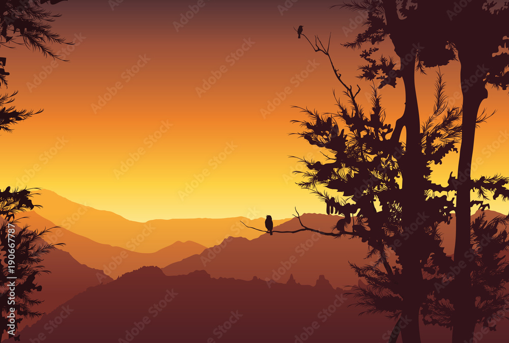 Nature background. Colorful sunset in wild valley, mountain with trees - vector illustration 