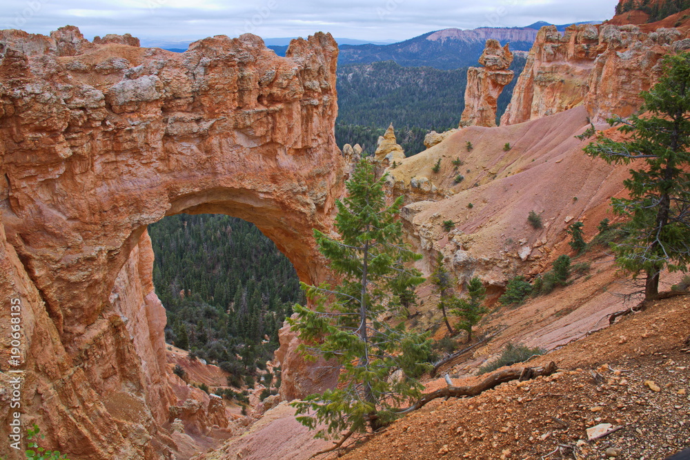 Natural Bridge at Rainbow Point Route in Bryce Canyon in Utah in the USA
