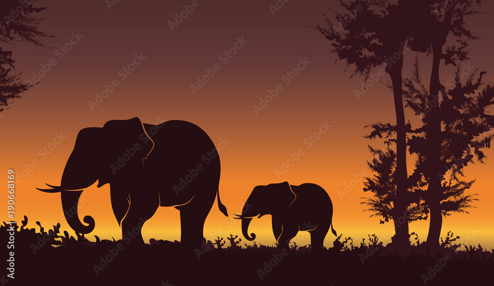 Fototapeta premium Beautiful sunset with Elephant. Baby elephant with mom, nature background - Vector illustration 