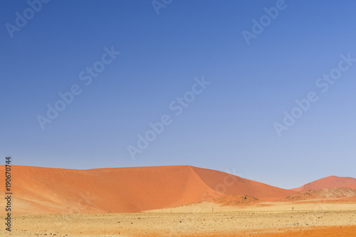Dunes in the Namib Desert / Dunes in the Namib Desert to the horizon, Sossusvlei, Namibia, Africa.