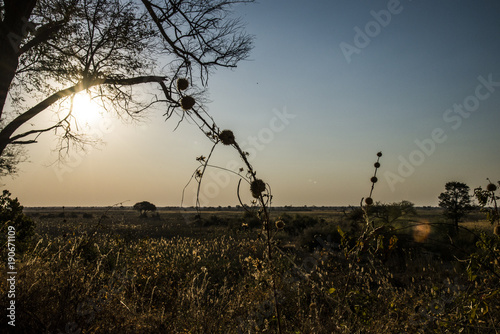 Namushasha Sunsdown
