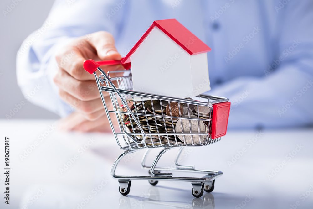 Man Holding Shopping Cart Filled With Coins And House Model