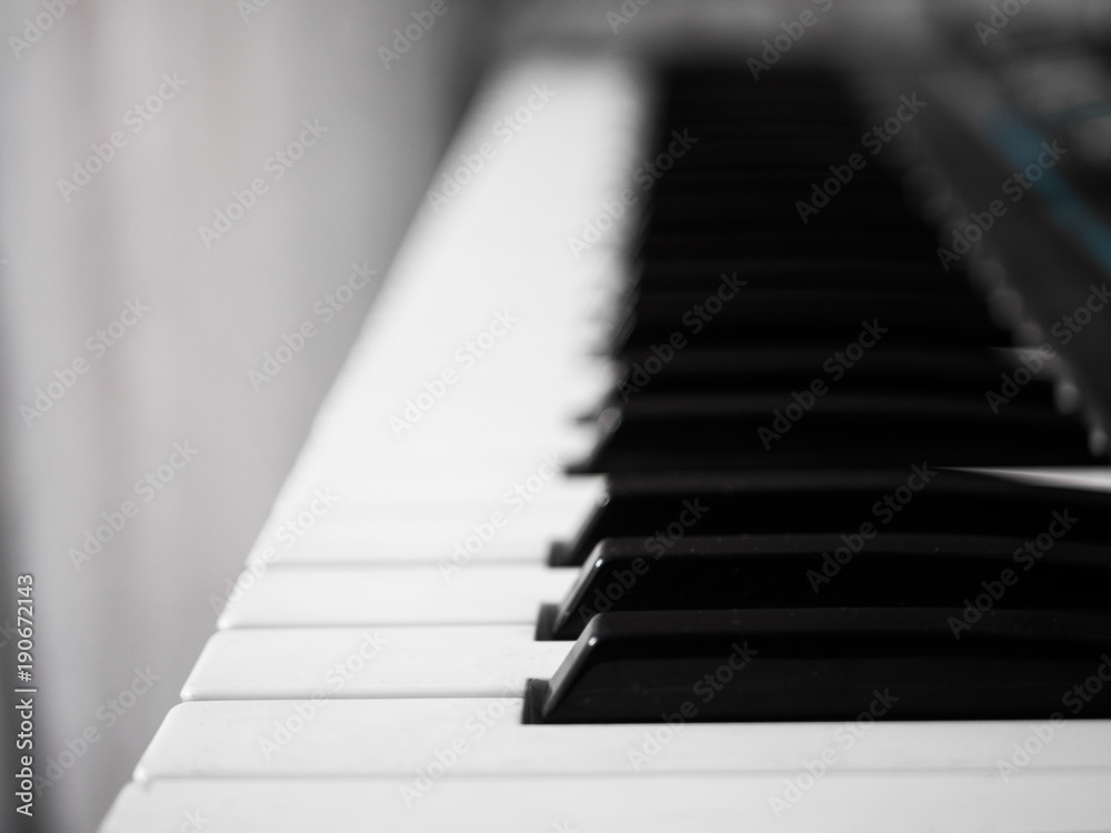 White and black keys of the piano synthesizer White and black keys of the piano synthesizer