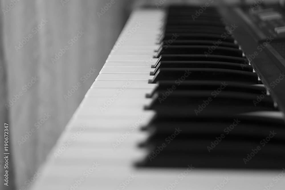 White and black keys of the piano synthesizer White and black keys of the piano synthesizer