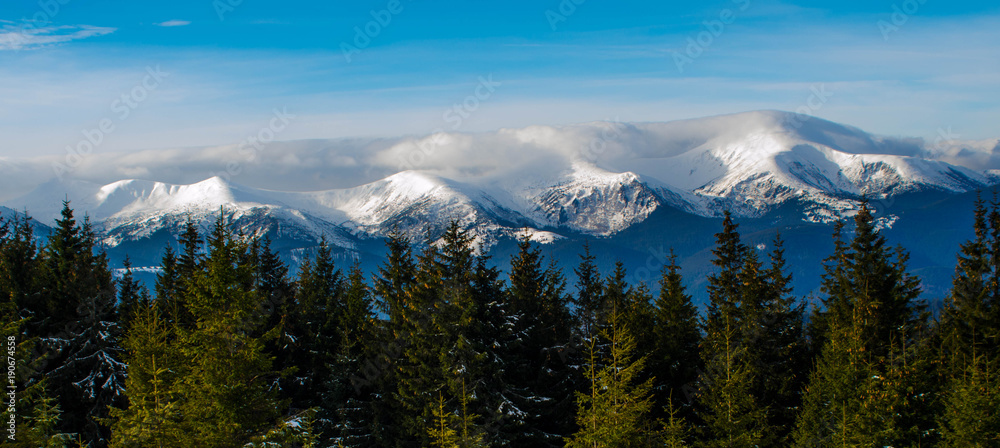 Foggy mountains. Winter in mountains. Winter in Ukraine. Winter landscape.
