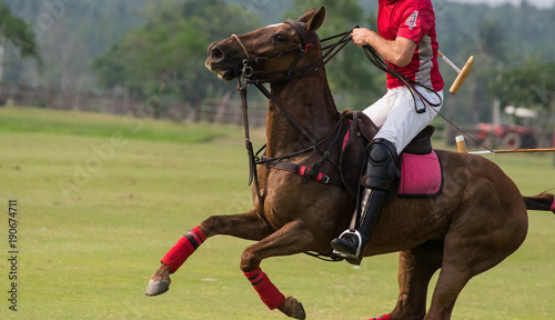 Horse Polo Player Stop Horse In Match.