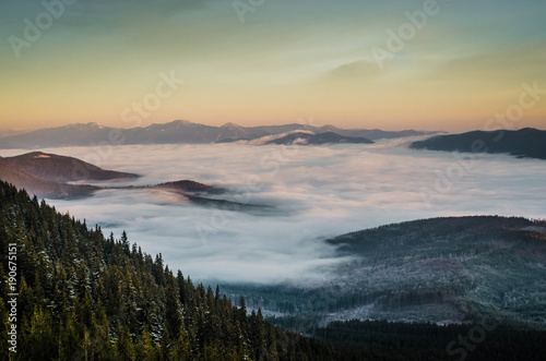 Dawn in the mountains. Foggy valley. Beautiful nature. 