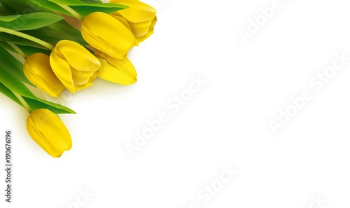 Bunch of spring yellow tulips on white background. Vector illustration