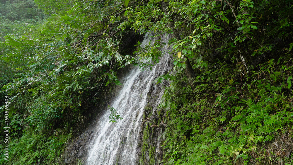 Waterfall in green forest in jungle. Beautiful waterfall in the mountains. Tropical rain forest with waterfall. Philippines, Cebu. Travel concept.