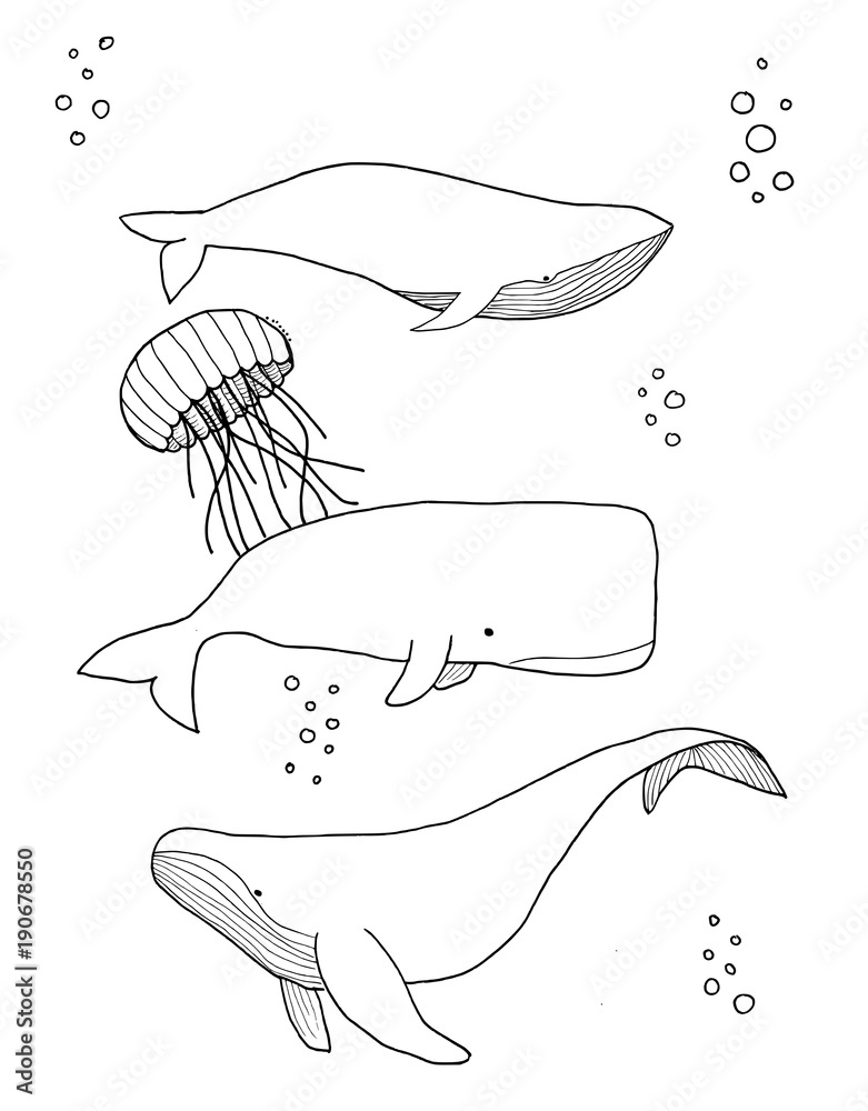 Naklejka premium ilustracja wieloryba