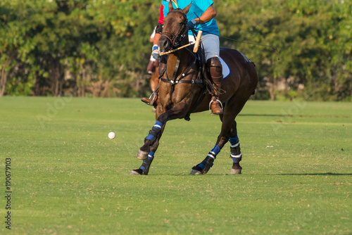 Horse Polo Sport During the Games.