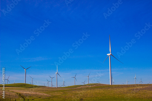 Wind Mill Farm For Energy